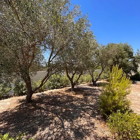 Holiday home In Salento Con Giardino